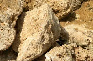 Prirodni kamen Novi Sad