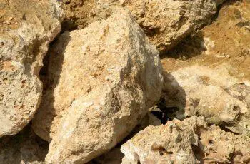 Prirodni kamen Novi Sad